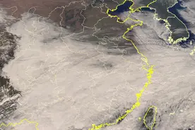 寒潮凶猛！难以下雪的上海都飘起鹅毛大雪，南方的雪打败了北方！图片