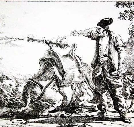 骆驼背上的枪炮，现实版的合金弹头