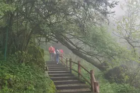 国家级风景名胜区，却不收一分钱门票！成都出发只需2小时图片