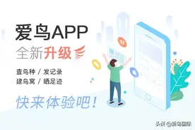 爱鸟APP V3.0全新版本升级公告图片