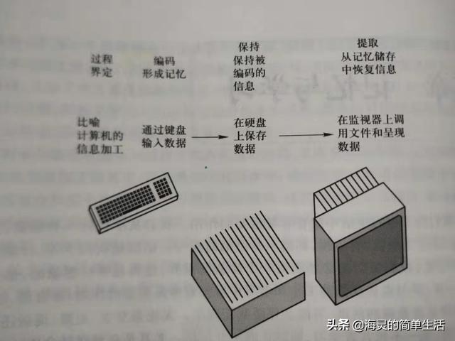 学了记不住、学过就忘？父母教孩子记忆诀窍，让他记得牢、想得起