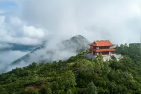 别被功德箱绑架：并非所有的僧人都可以是僧宝图片