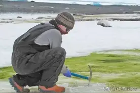 南极洲变绿了，科学家却大叫不好！冰川之下，还有更恐怖的可能图片