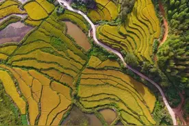 4000斤武夷岩茶只剩500斤，390元/斤的超低价好茶不多了，要囤岩茶的还可以在“每满生活”下单图片