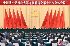 河北省委九届十四次全会在石家庄召开图片