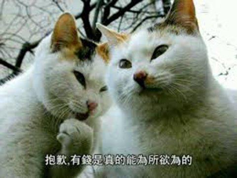 做了9个爆款游戏，却穷得差点破产？腾讯爸爸又看中出手了