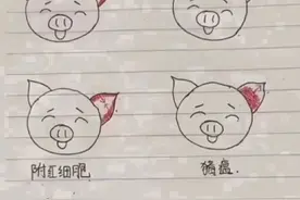 看猪耳朵的病因图片