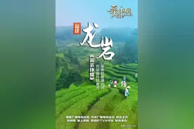 重磅！学习强国“每日一曲”，今天推荐龙岩《采茶扑蝶》图片