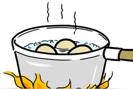 猫不能吃鸡蛋白？没有的事！鸡蛋对猫非常好，喂食方法也很多图片