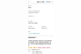 再被强制执行4亿元！贾跃亭累计被执行金额超94.8亿元图片