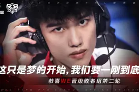 KPL季后：WE零封TES,VG拿到史上最好成绩,GK淘汰百兽哭得让人心疼图片