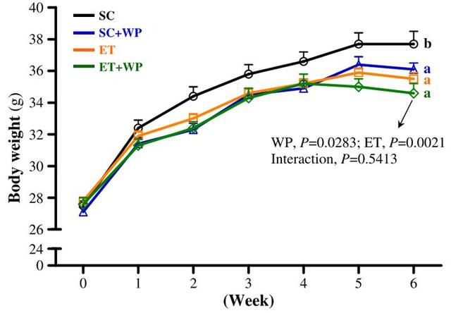 不健身直接吃蛋白粉会怎么样？