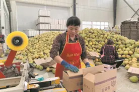 中国两家使命必达的快递之一，邮政不只是送快递，还在农村干大事图片