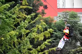 后续！火遍全网的成都“飞索”校长，被学生“套路”了……图片