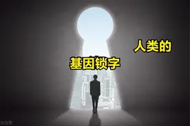 性——人类的基因锁图片