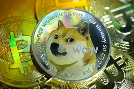 狗狗币一周暴涨300%，市场投资者开始担心泡沫可能破灭图片
