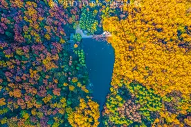 洛阳白云山，全国对摄影师最友好的5A景区，只要拿相机就免票图片