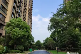 放风价4万/㎡！九龙湖两大纯新盘开盘时间定了！二手房最高破…图片