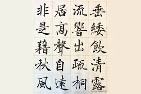 夏雨丨影圈的书法才子，20幅楷书真迹欣赏，清秀俊逸、法度严谨图片
