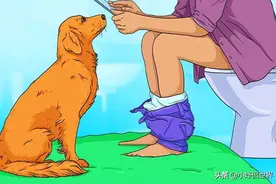 狗狗的7种怪异行为可能表明的含义图片
