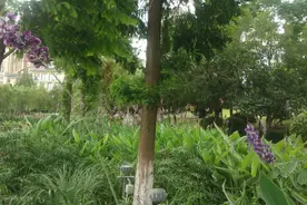 现在网购都没有隐私吗？图片