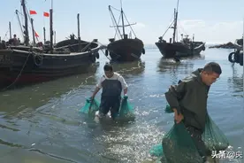 地道的渔家海鲜美食在“招唤”,国庆不得不去的地方图片