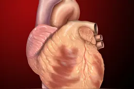 心脏一生约跳动30亿次，你以为它很累？其实它活轻事少还特别懒图片