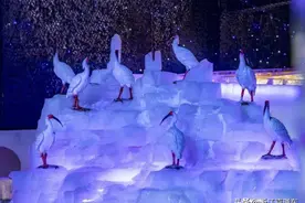 免票！免票！教师节全民免票游下渚湖，杭州后花园等你赏秋景图片