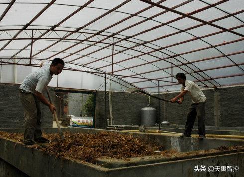 沼气的水解过程以及分析