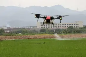 保障农业生产安全 农业农村部部署农业重大植物疫情阻截防控工作图片