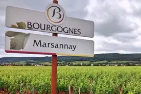 超详细的法国勃艮第产区详解，推荐收藏图片