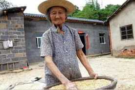 河南6旬单身老伯和8旬老妈相依为命，笑说自己有妈疼，是个有福人图片