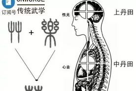 内家拳之论丹田图片