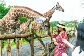 湖州：商合杭高铁开通最大受益者，这3处景点一定不能错过图片