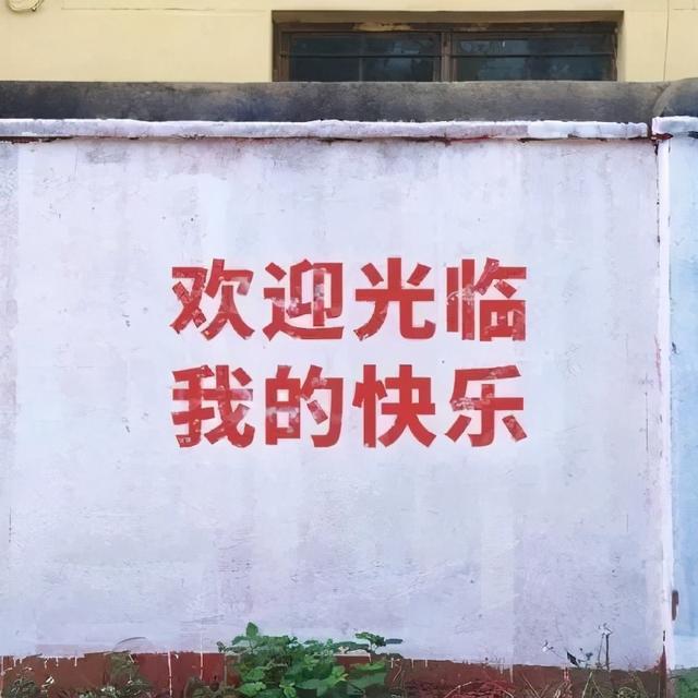 朋友圈背景图 | 个性、沙雕、励志文字控