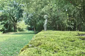 公园城市感知行·打卡郫都十大网红博物馆——鹿野苑石刻博物馆图片