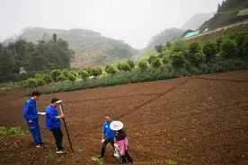 加快推进宜彝高速建设，筠连县城北互通征拆工作进行到这一步了！图片