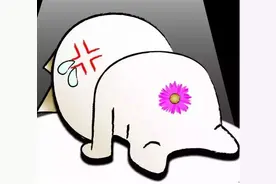 照个“镜子”，就能治痔疮？图片