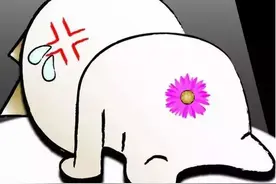 照个“镜子”，就能治痔疮？图片
