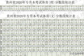 贵州省2020年专升本考试体育分数段统计表图片