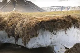 北极出现史前生物尸体，对于人类而言不是好消息，科学家担忧不已图片