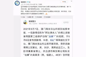 食用国家二级保护动物法螺，美食博主被刑拘图片