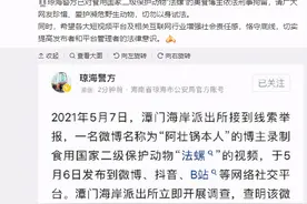 食用国家二级保护动物法螺，美食博主被刑拘图片