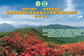 随绿色中国行走进美丽龙游 和中国绿色碳汇基金会一起庆祝10周年图片