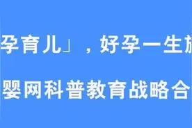 好孕育儿 | 怀孕前三个月的胎儿变化图片
