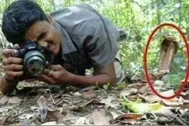 “大哥，再厉害的肖邦，也弹不出你的忧伤啊”图片