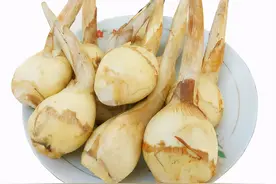 十日谈 |“慈姑”夜话图片