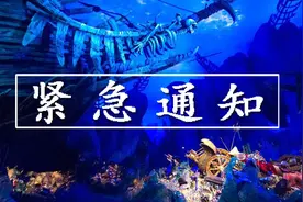 这个宝藏功能，再不开通来不及了…图片