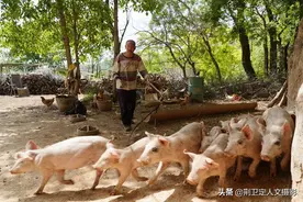 56岁农村大叔隐居深山，自由自在年赚20多万，看做的啥营生图片