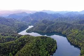 金盆山林场：三代人开拓守护万亩林海图片